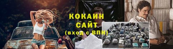 ГАЛЛЮЦИНОГЕННЫЕ ГРИБЫ Покровск