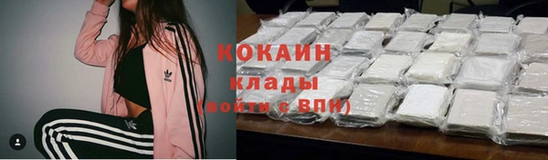 хмурый Аркадак