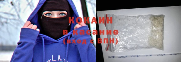хмурый Аркадак