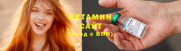 хмурый Аркадак