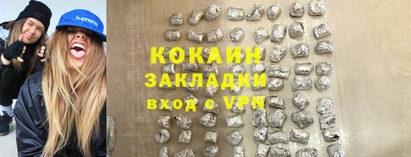 хмурый Аркадак