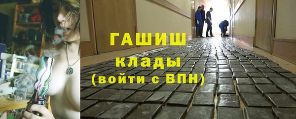 хмурый Аркадак