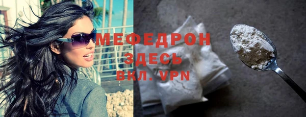 хмурый Аркадак